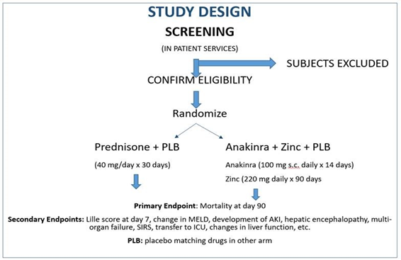 A flowchart showing participants entering, being screened, and if confirmed eligible being randomized